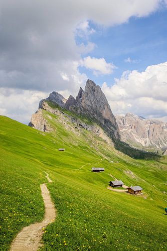 Seceda im Grödnertal: Weg mit gelben Blumen und Berghütten