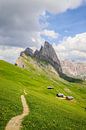 Seceda in Val Gardena: path with yellow flowers and mountain huts by Be More Outdoor thumbnail