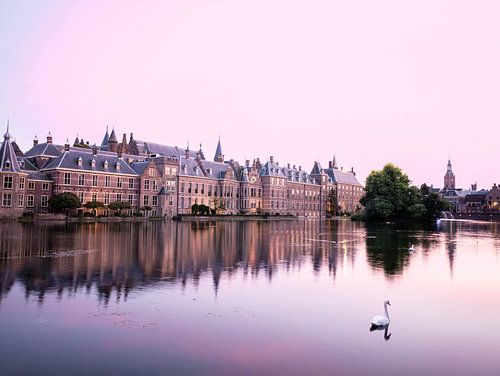 Binnenhof und Hofvijfer Den Haag Niederlande in rosarotem Glanz