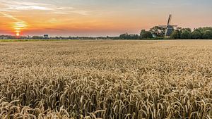 Weizenfeld mit Sonnenuntergang von Jan Poppe