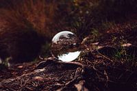 lensball