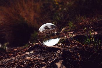 lensball
