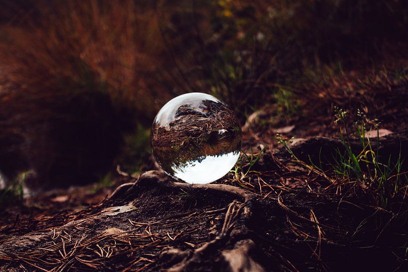 lensball by b.dutch