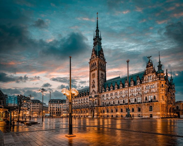 City Hall Hamburg by Dekorative Hamburg Fotos