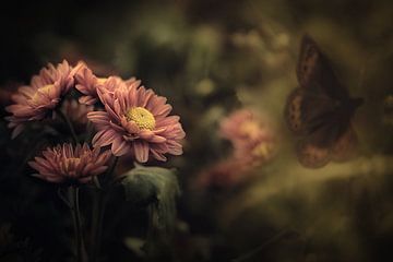 Bloemen en bloei van Martine BOUR