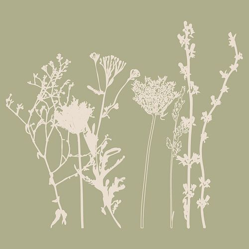 Zomerbloemen en grassen in wit en salie VIII