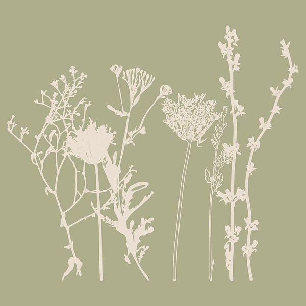 Summer flowers and grasses in white and sage VIII by Dina Dankers