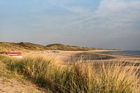 La côte en Zélande