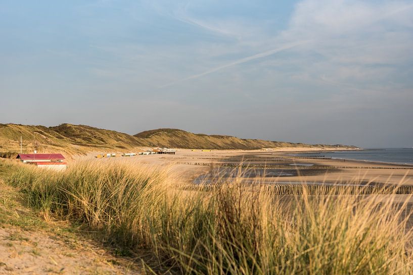 Coastline in Zeeland by Gwendolyn Pieters