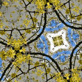 Spring Kaleidoscope by karin van Bylevelt