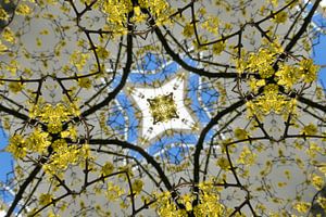 Frühling Kaleidoskop