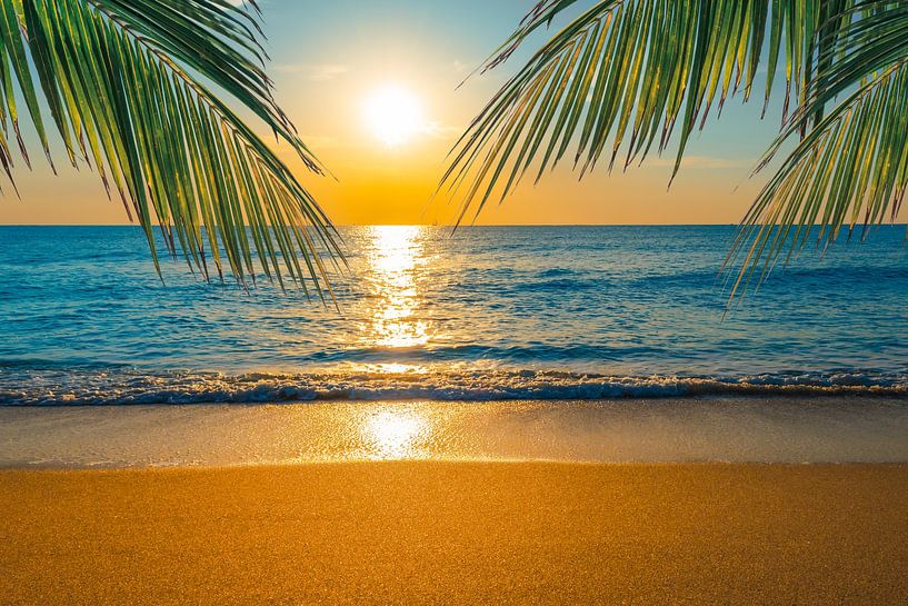 Tropisch Strand bij Zonsondergang met Palmbomen van Nancy Pauwels Photo