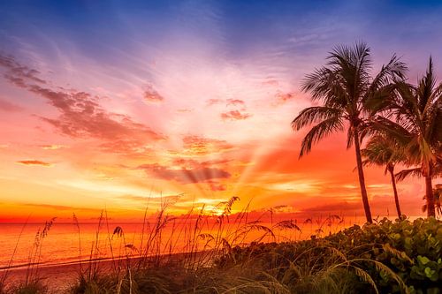 BONITA BEACH Picturesque Sunset