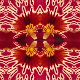 bloem 1 von Margriet Snaterse