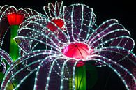 Chinees lichtfestival (chinese light festival) van Brian Morgan thumbnail