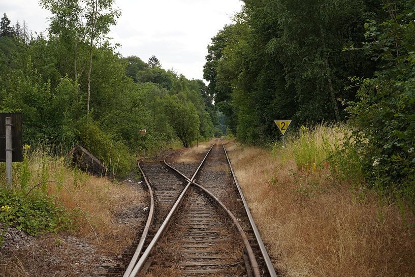 Dubbelspoor van Madeltijntje