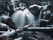 Winter im Rieslochwasserfall im Arberland 2 von Max Schiefele Miniaturansicht