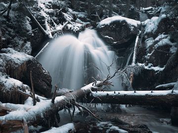 Winter in de Riesloch-waterval in Arberland 2 van Max Schiefele