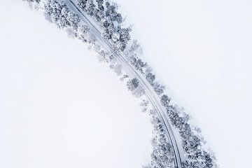 Ein winterliches Bild, die Landzunge Punkaharju von oben von Martijn Smeets