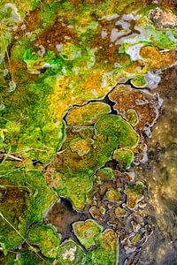 Kunst in der Natur in Neuseeland