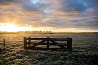 Frozen landscape at sunrise