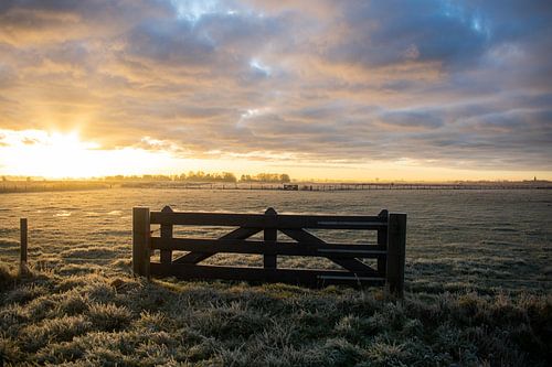 Bevroren landschap bij opgaande zon