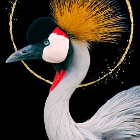 Kraanvogel met gouden cirkel van Postergirls