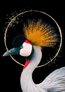 Crane with golden circle