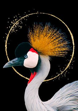 Kraanvogel met gouden cirkel van Postergirls