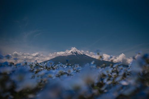 Fuji