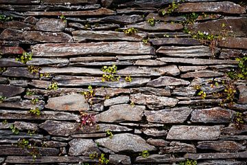 Stenen muur van John Groen