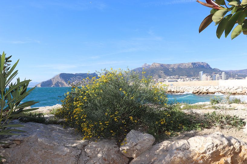 Beach of Calpe, Costa Blanca, Spain by Elly Meijer - Willemsen