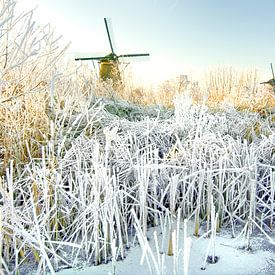 Frozen river van Dalex Photography