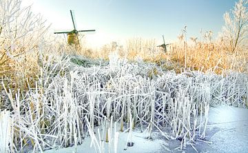 Frozen river van Dalex Photography
