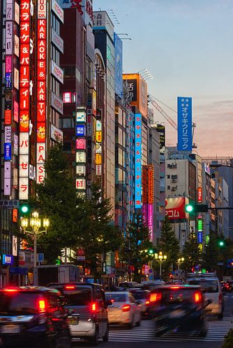 Yasukuni-Dori straat in Tokio, Japan