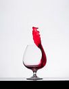 High speed liquid Rood van Theo Mulder thumbnail
