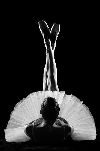 Ballet by lydia versluis