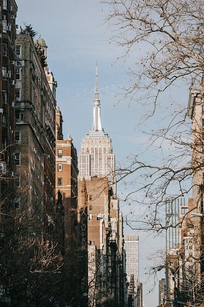 Empire State Building by Hello Pompoyo