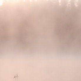 Fog at a lake at sunrise | travel photography print | Kuusamo Finland by Kimberley Jekel