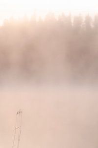 Nebel an einem See bei Sonnenaufgang | Reisefotografie-Druck | Kuusamo, Finnland