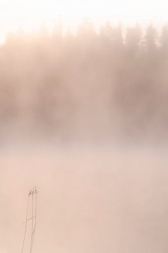 Mist bij een meer tijdens zonsopkomst | reisfotografie print | Kuusamo Finland van Kimberley Jekel