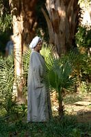Egyptische man