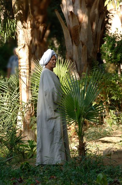 Egyptische man van Lein Kaland