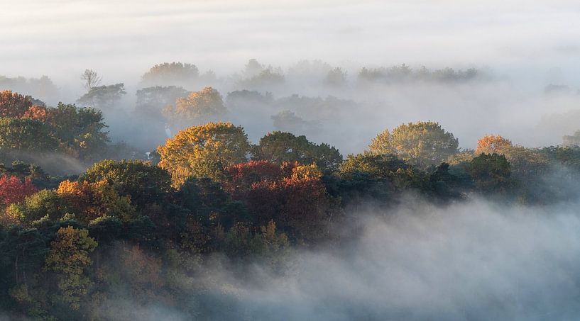 Au-dessus des nuages 2 par Bart Ceuppens