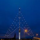 Grootste Kerstboom van Nederland van Hans Verhulst thumbnail