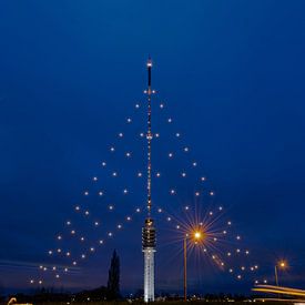 Grootste Kerstboom van Nederland von Hans Verhulst