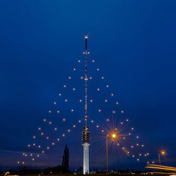 Grootste Kerstboom van Nederland