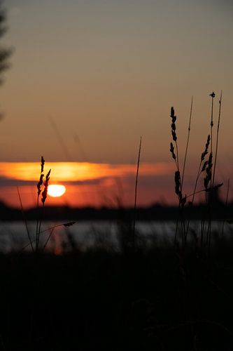 Zonsondergang aan de Waal