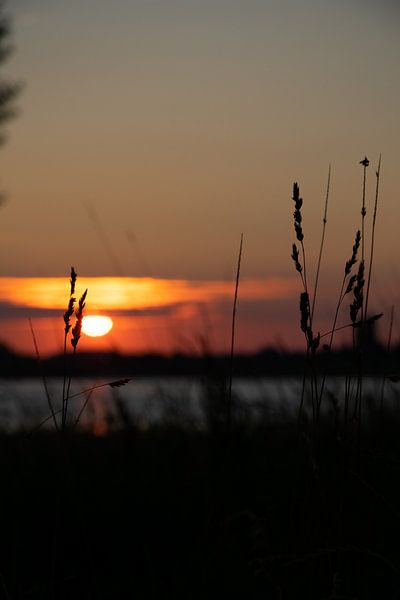 Zonsondergang aan de Waal von Eline Huizenga