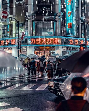 Regen in Tokio van Cuno de Bruin